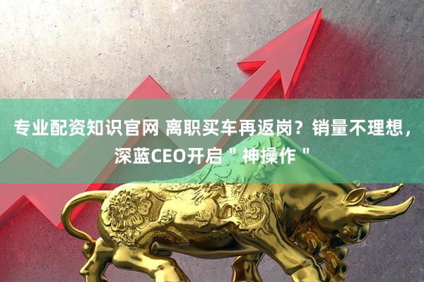 专业配资知识官网 离职买车再返岗？销量不理想，深蓝CEO开启＂神操作＂